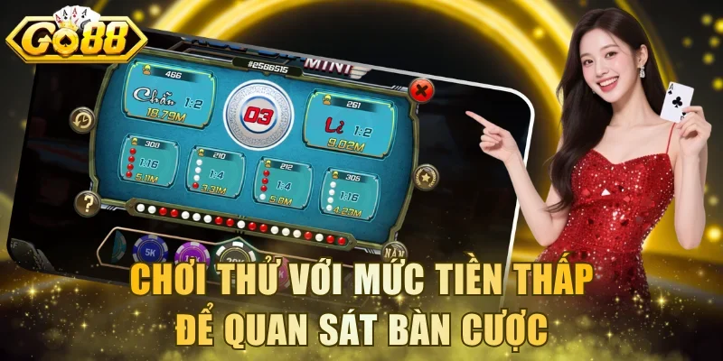 Chơi thử với mức tiền thấp để quan sát bàn cược